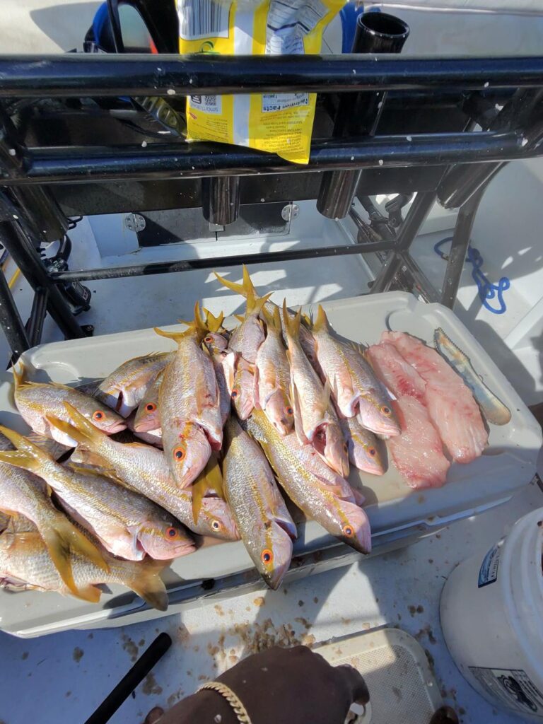 Fishing-Charters-in-Bahamas-Nassau